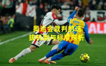 奥运会裁判的选拔机制与标准探析