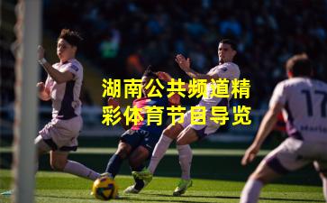 湖南公共频道精彩体育节目导览