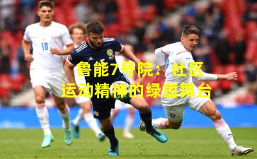 鲁能7号院:社区运动精神的绿茵舞台