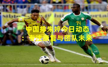 中国排朱婷今日动态：专注康复与团队未来