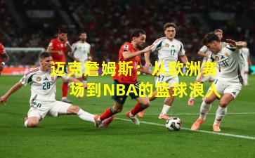 迈克詹姆斯：从欧洲赛场到NBA的篮球浪人