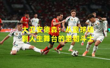 大卫安德森：从篮球场到人生舞台的坚韧斗士